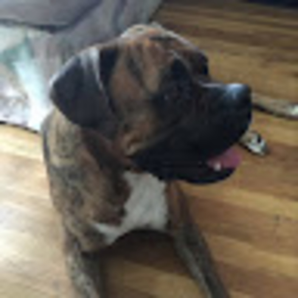 Meet your Posher, Kobe